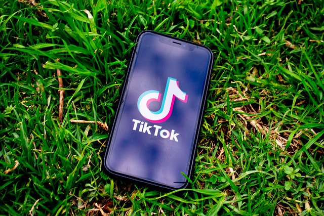 Should you put your Brand or Business on TikTok?