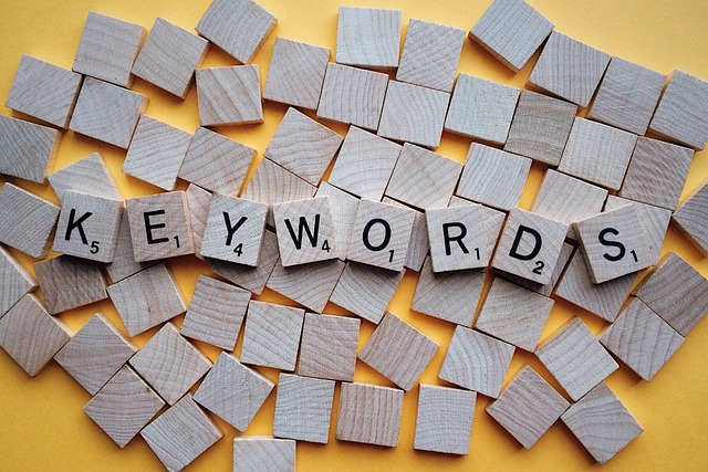 Keywords Everywhere Review